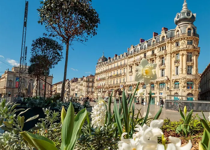 Apartamento Le Balcon De La Comedie Montpellier